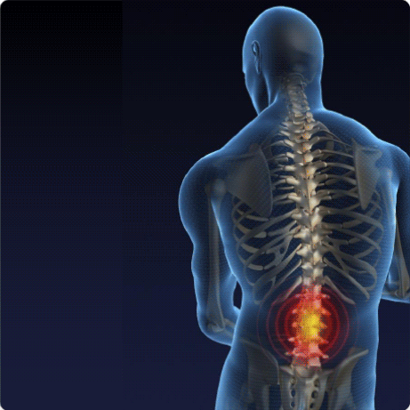 A Comprehensive Chiropractic Marketing Company