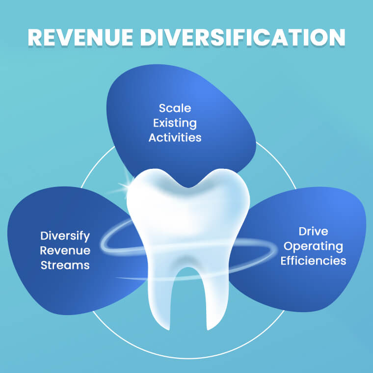 Revenue Diversification: Tapping into New Opportunities